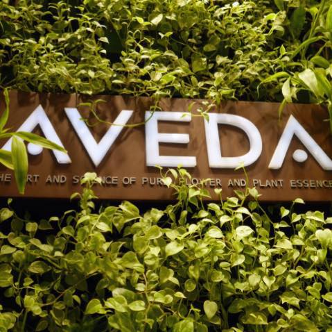 GlossHairStudio-Avedasign Gloss Hair Studio Aveda Sign